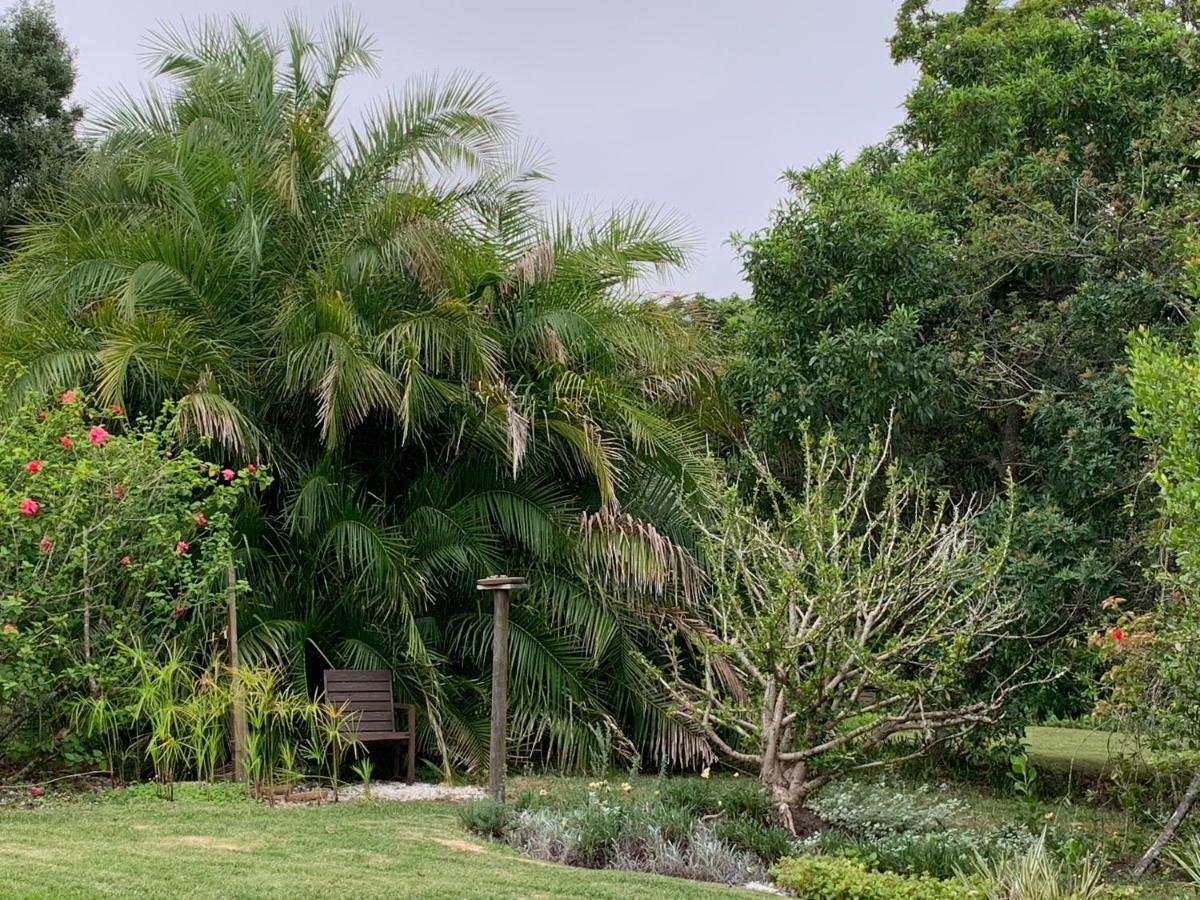 Garden Cottage In Ambiente Guest House 나이스나 외부 사진